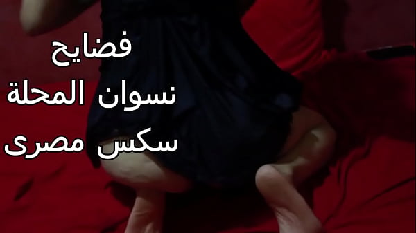 سكس عربي شرموطة مصرية طيزها ضخمة عايزة تتناك من قفا